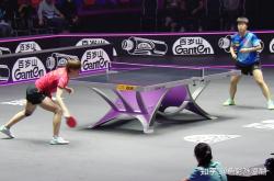 开云体育官方网站-比利时乒乓球队完胜奥地利乒乓球队，波尔统治全场的简单介绍