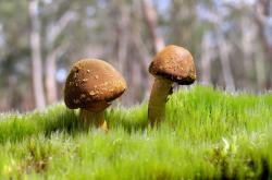 开云体育app-克莱·汤普森，总决赛之夜的攻防交响诗