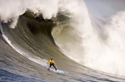 开云体育官方网站-火箭强势拿下广东队，利拉德扛起全队