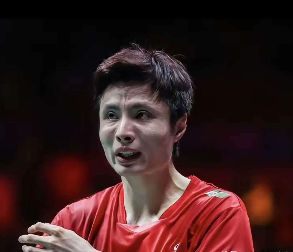 德国队翻盘丹麦队，石宇奇高光表现的简单介绍