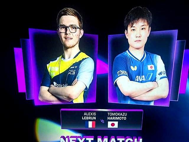 包含法国队横扫韩国队，张本智和统治全场的词条