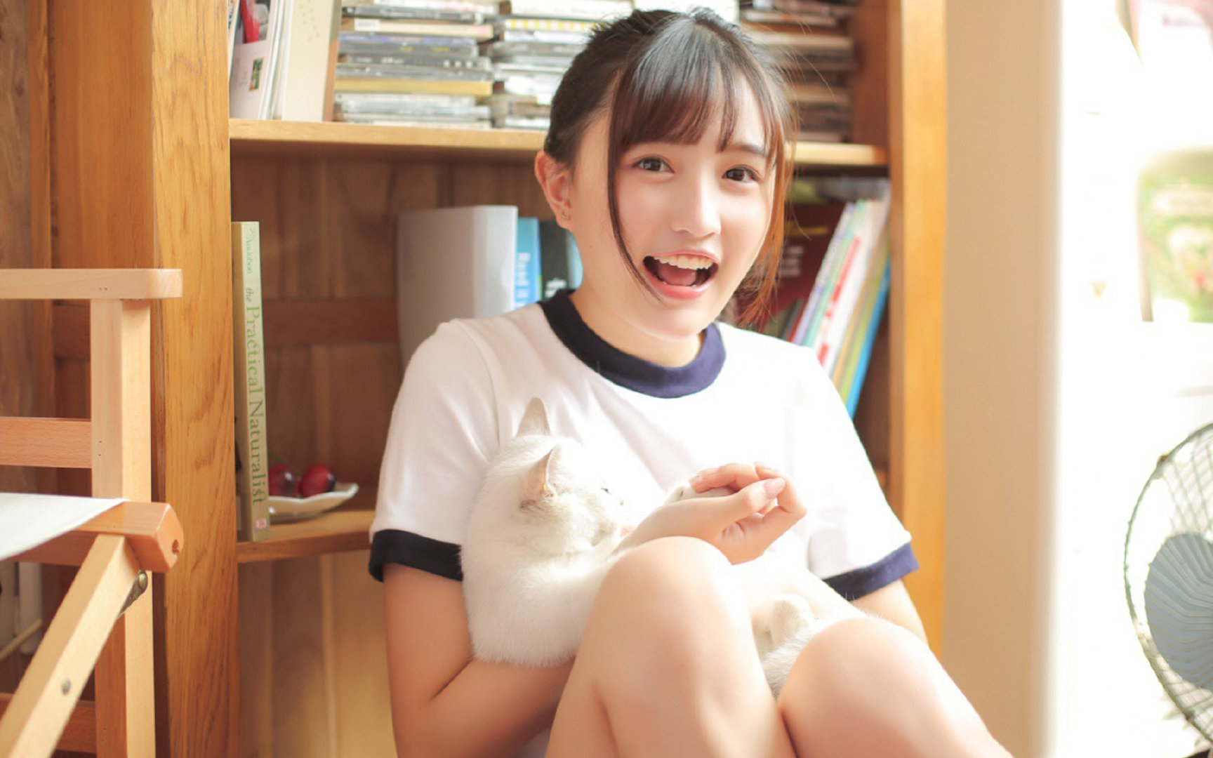 当跨界叙事碰撞，阿尔及利亚的战术困局与莫德里奇的总决赛接管时刻