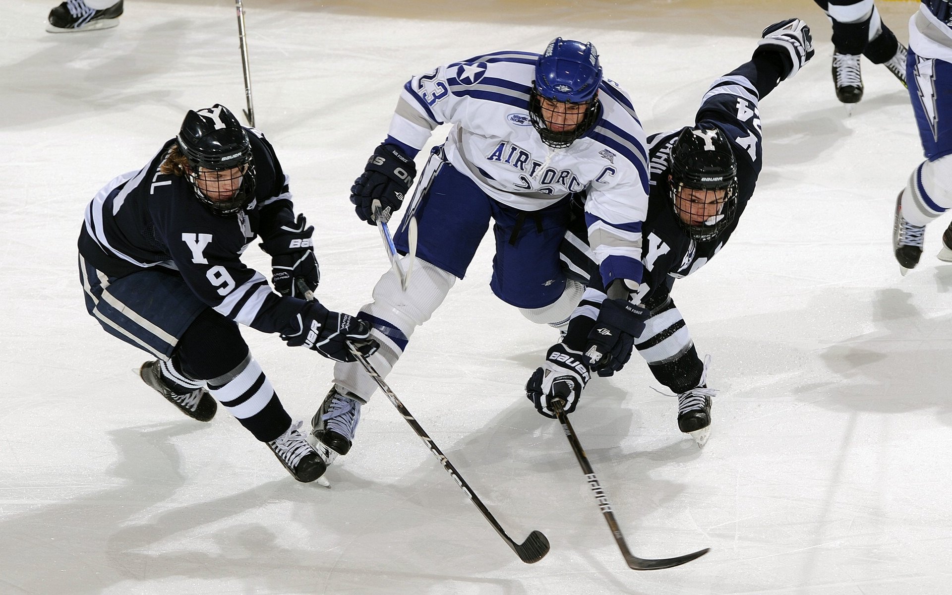 当开拓者成为收割者,霍勒迪末节利刃出鞘,鹈鹕的麦田在叹息